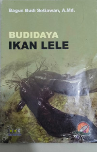 Image of budidaya ikan lele